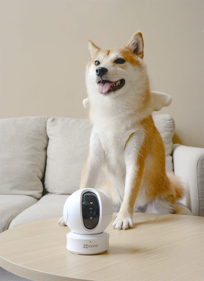 Các mẫu camera của EZVIZ đều sử dụng EZVIZ Cloud - nền tảng dịch vụ đám mây video toàn cầu, cho phép bạn xem, chụp hình, lưu trữ và chia sẻ những điều đáng giá.