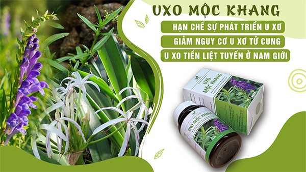 Liên hệ với Công ty TNHH Dược Mộc Khang để sở hữu sản phẩm chất lượng