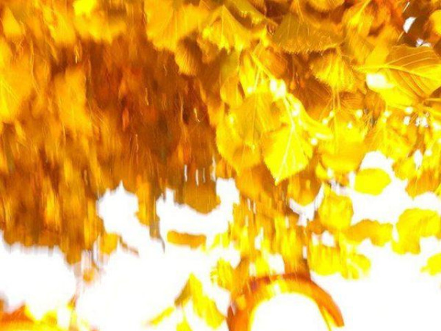 Phi thường - kỳ quặc - Bức ảnh selfie bắt trúng khoảnh khắc bị sét đánh của 3 chị em gây "sốt" mạng xã hội