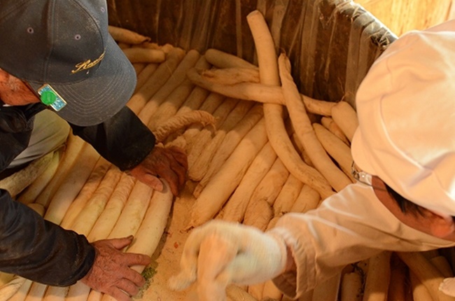 Khi muối, người ta ngâm củ cải trong thùng gỗ. Củ cải có màu vàng là nhờ bột nghệ được cho vào để tạo thành Takuwan.
