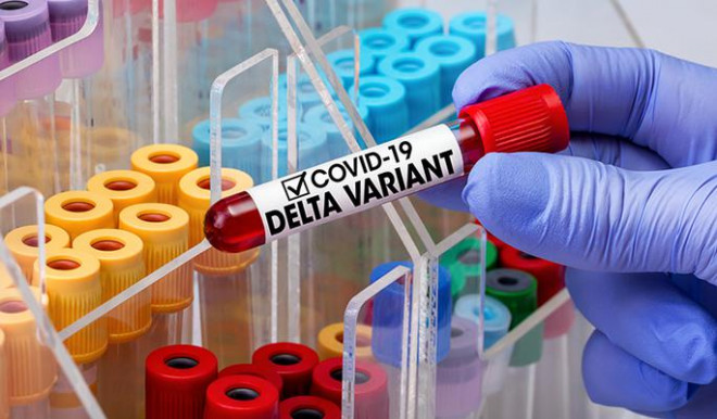 Biến thể Delta của virus SARS-CoV-2 có thể lây lan nhanh chóng.