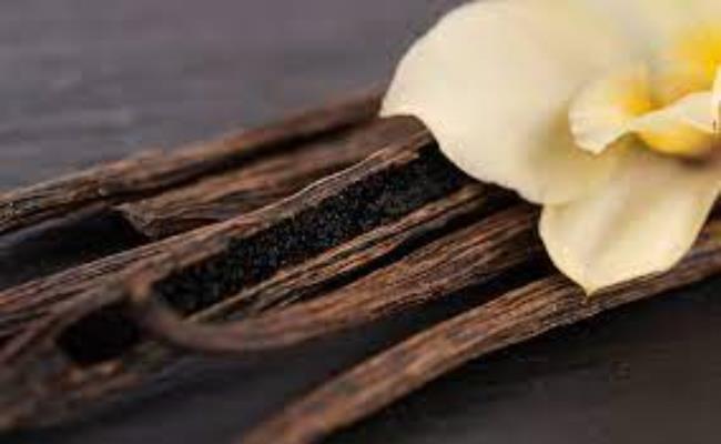 Ngoài Saffron, ở Việt Nam hiện cũng có bán (thậm chí có nơi còn trồng được) Vanilla tự nhiên.
