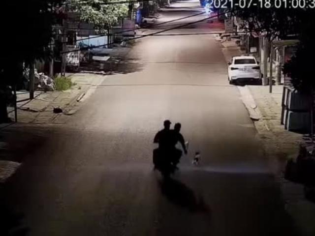 Pháp luật - Clip: Chó cưng thông minh, tốc độ chơi trò "mèo vờn chuột" khiến 2 tên trộm “bẽ mặt"