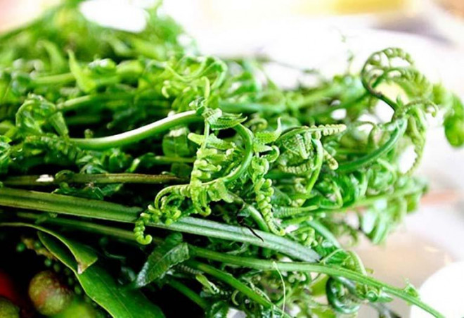 Chị Đinh Thị Huế (Nguyễn Xiển, Hà Nội) chia sẻ, nhà chị có sở thích ăn rau rừng từ vài năm nay. Khi đó, chị được một người quen cho một ít rau dớn để ăn thử. Sau khi ăn thấy ngon, chị thường xuyên mua các loại rau rừng như bò khai, rau dớn hay rau tàu bay để ăn.