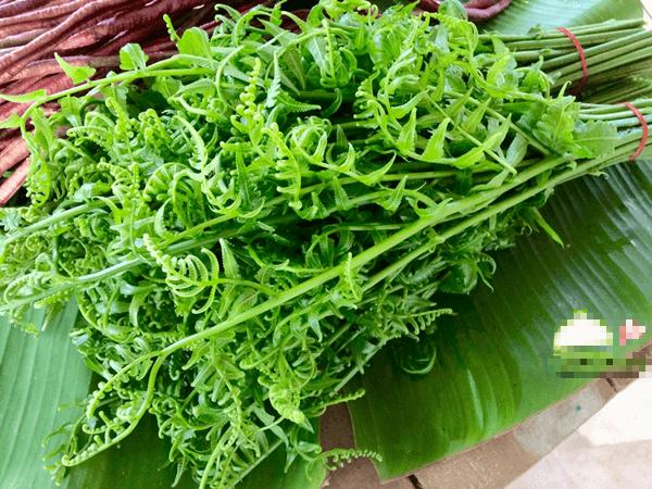 Giờ đây, rau dớn băng rừng xuống Thủ đô được bán với giá cao ngất ngưởng nhưng được các tiểu thương đánh giá "hàng về bao nhiêu hết bấy nhiêu", thậm chí còn "cháy hàng" không có để bán.