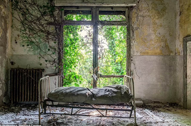 6. Nơi này là một bệnh viện đã bị bỏ hoang trên đảo Poveglia, Ý. Hòn đảo này có một quá khứ rất đau thương khi lần lượt bị tấn công rồi dịch bệnh xảy ra. Kể từ khi nó được chuyển thành viện dưỡng lão vào năm 1922, sau đó không có người ở và du khách bị cấm hoàn toàn từ năm 1968.
