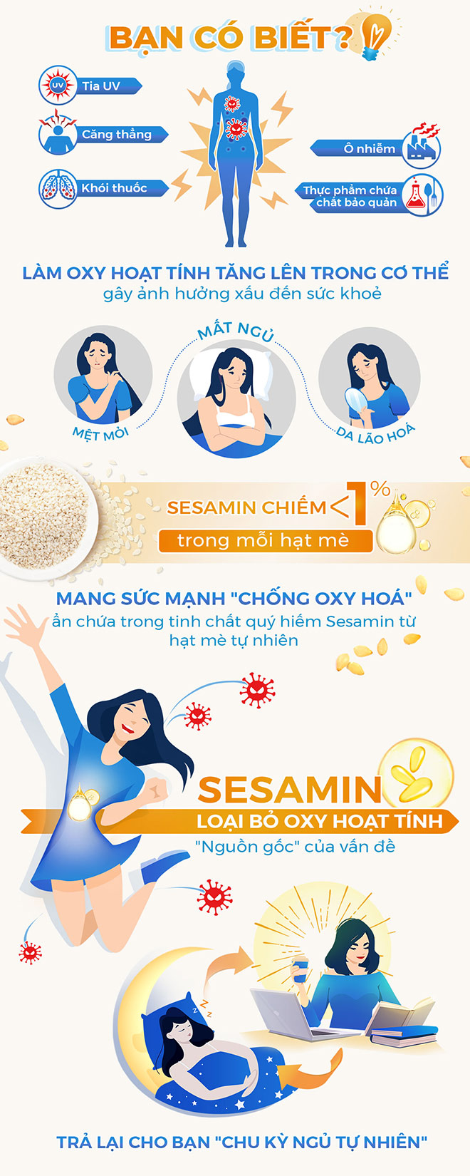 Tìm hiểu cơ chế của Sesamin – tinh chất hỗ trợ giấc ngủ ngon dài hạn - 1