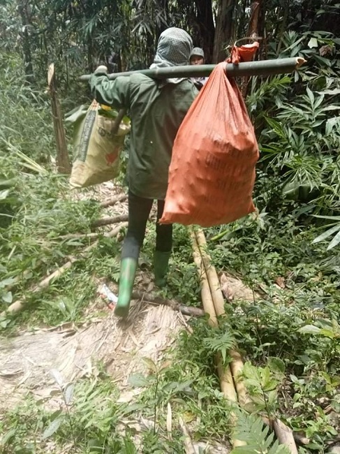 Đi tìm “lộc rừng” vào mùa mưa, người dân vùng núi kiếm tiền triệu mỗi ngày - 4