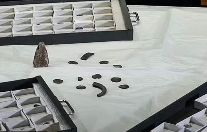 Kho báu đang được xếp đặt cẩn thận vào các hộp bảo quản - Ảnh: Di sản Quốc gia Manx