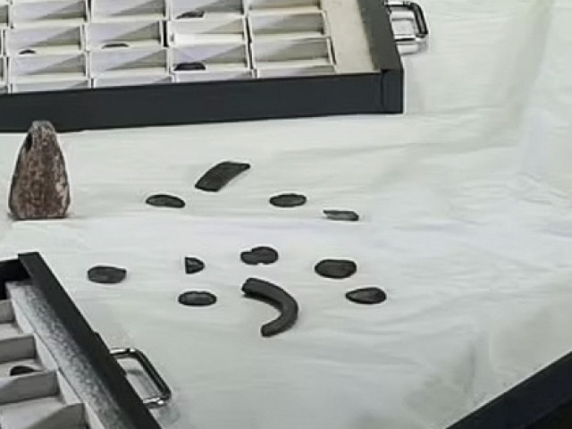 Du lịch - Dò kim loại, đào được... con heo đất chứa kho báu ngàn năm