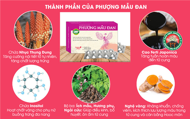 Kinh nguyệt thưa, nội tiết kém khiến niêm mạc mỏng, dùng Phượng Mẫu Đan hiệu quả không? - 2