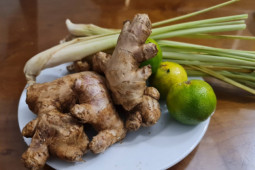 Lưu ý khi uống nước sả, gừng trong mùa dịch COVID-19