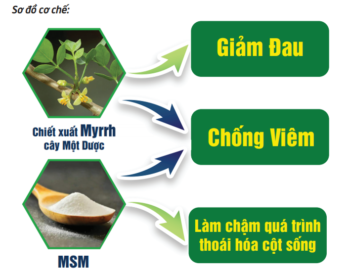 Ai bị đau nhức cột sống và các bệnh xương khớp nên đọc ngay bài viết này - 3