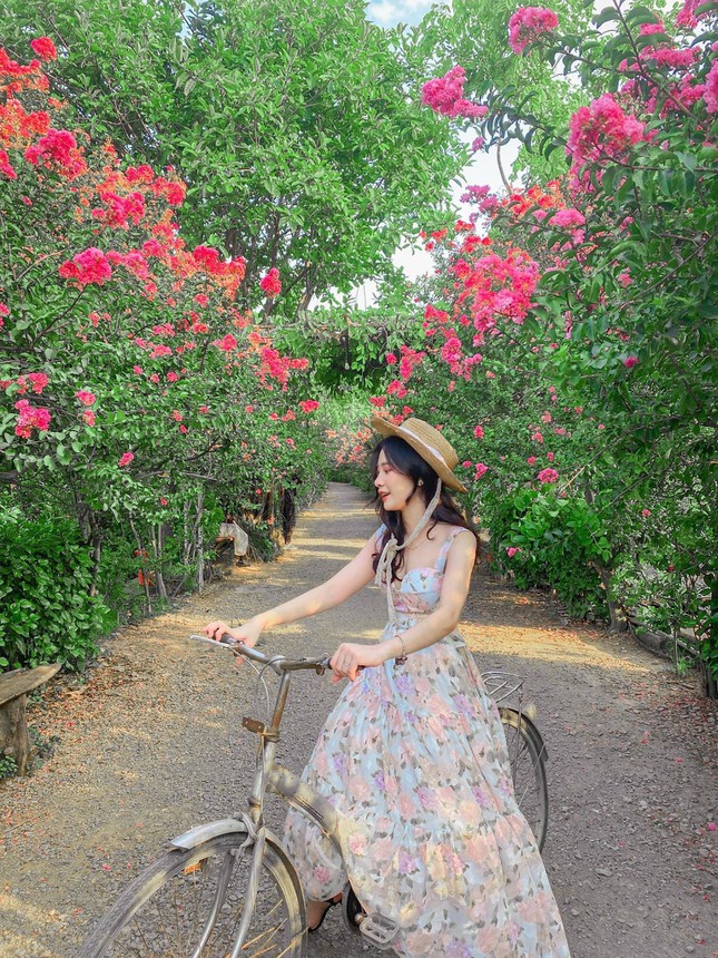 Hóa thân thành &#34;nàng thơ&#34; lạc bước trong khu vườn tường vi đẹp như tranh vẽ ở Hà Nội - 2