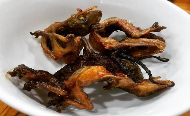 Để bắt được thằn lằn núi, người dân phải leo lên những vách núi cao, dùng mồi nhử sau đó sử dụng thòng lọng để bắt sống chúng.
