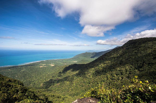 Cape Tribulation, Úc: Queensland's Cape Tribulation là một nơi không thể bỏ qua cho những ai ưa mạo hiểm với các khu rừng tươi tốt, những bãi biển rợp bóng cọ, cùng rất nhiều hoạt động lành mạnh ngoài trời. 
