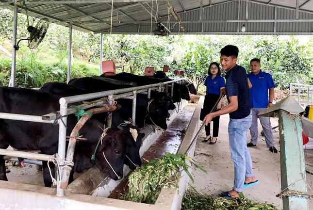 Bạn trẻ rời phố về quê, khởi nghiệp làm nông, khó hay dễ? - 4