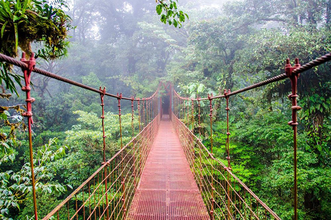 Reserva Monteverde, Costa Rica: Costa Rica là quốc gia dẫn đầu thế giới về du lịch sinh thái và mạo hiểm, nhất là khu vực Monteverde. Có rất nhiều hoạt động ngoài trời như đi bộ đường dài, cắm trại, đu dây, tham quan hang động và cưỡi ngựa ở đây
