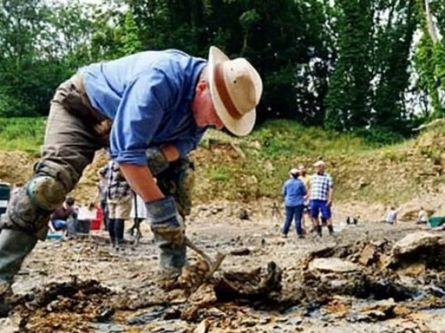 Du lịch - Dùng Google Earth,cặp đôi tìm được nghĩa địa "quái vật" 167 triệu tuổi