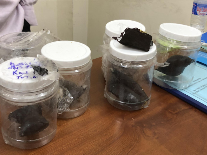 Số ma túy được giấu trong 6 keo khô gà