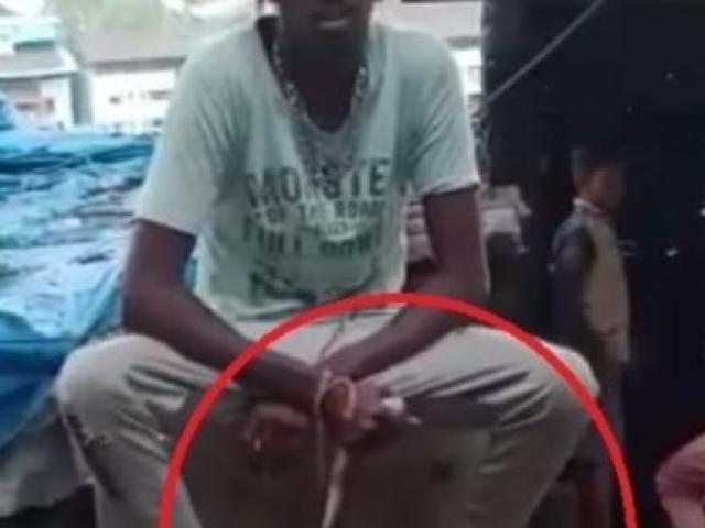 Thế giới - Quấn rắn quanh cổ để gây chú ý, người đàn ông Ấn Độ mất mạng