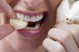 Sức khỏe đời sống - Có nên ăn tỏi để phòng chống ung thư?