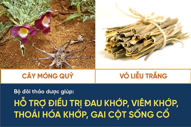 Gần như liệt tay trái do gai đốt sống cổ chèn ép cũng vận động trở lại nhờ thảo dược này - 3