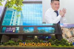 Kinh doanh - Đề xuất nhập thuốc điều trị Covid-19, Thaihodings đang kinh doanh ra sao?