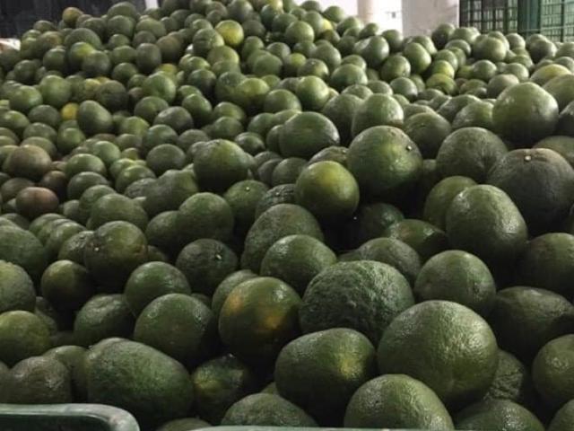 Thị trường - Tiêu dùng - Tăng giá mạnh, sức cầu cao, đây là sản phẩm luôn cháy hàng những ngày gần đây