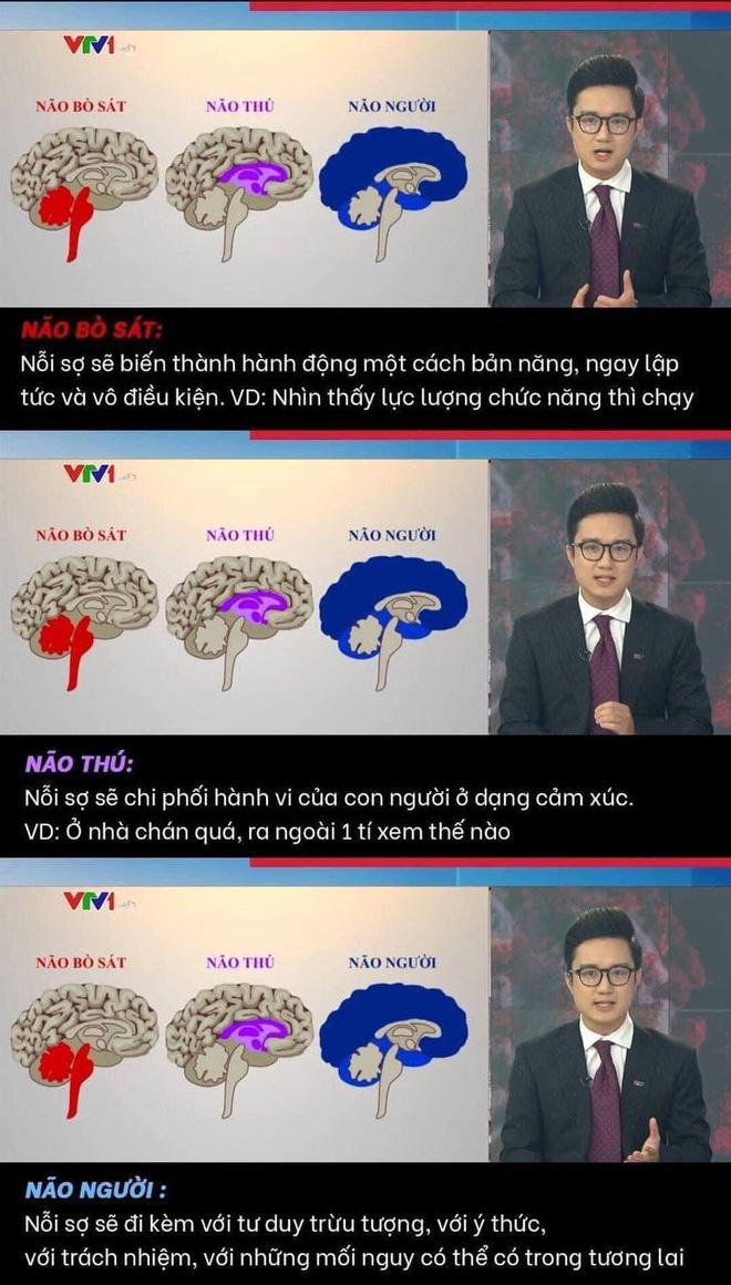 BTV, MC Sơn Lâm - Người gây tranh cãi “não thú - não người” là ai? - 2