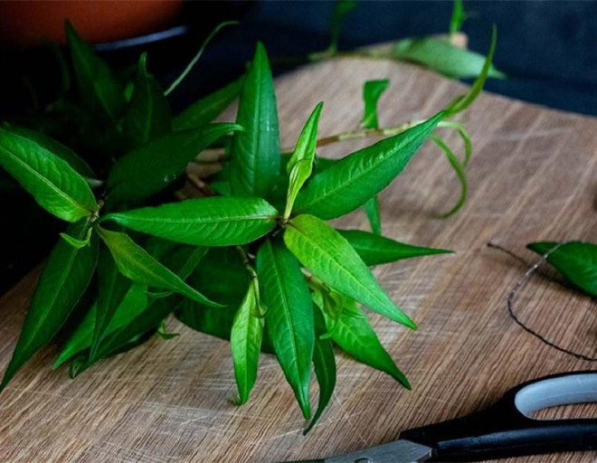 Thậm chí muốn sở hữu loại rau bình dân này, người Mỹ cần phải chờ đợi 6 - 10 ngày.