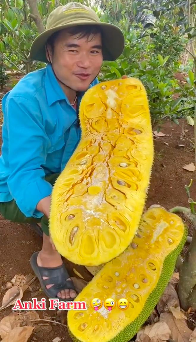 Phần ruột bên trong chín vàng ươm và có rất nhiều múi.