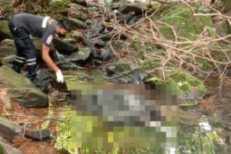 Thế giới - Thông tin mới vụ nữ du khách nghi bị cưỡng hiếp, sát hại rúng động Thái Lan