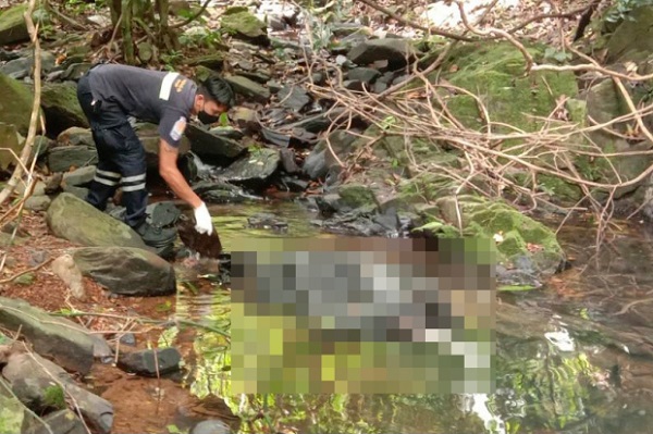 Nơi cảnh sát Thái Lan tìm thấy thi thể nữ du khách Thụy Sĩ.