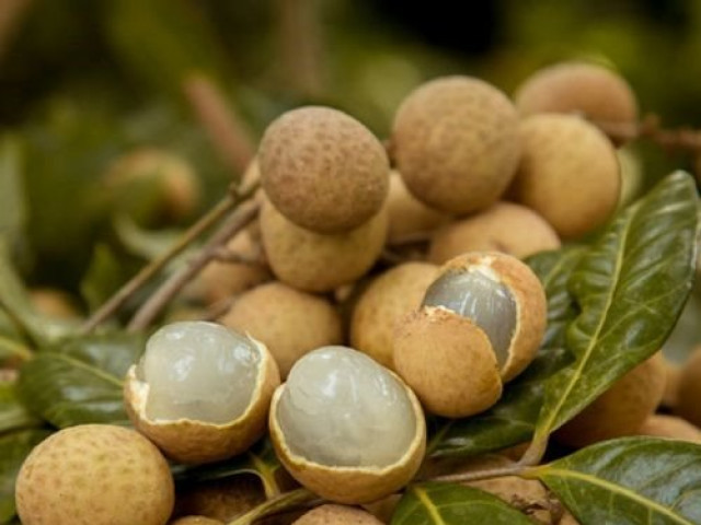 Ẩm thực - Những "đại kỵ" khi ăn nhãn, không phải ai cũng biết