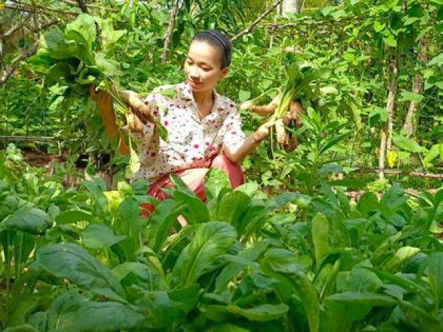 Bạn trẻ - Cuộc sống - Ngắm khu vườn hoa trái và cuộc sống bình an thôn dã của cô gái bỏ phố thị