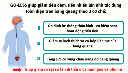 Ở nhà uống ít nước nhưng vẫn đi tiểu nhiều cả ngày lẫn đêm - thủ phạm được tiết lộ! - 4