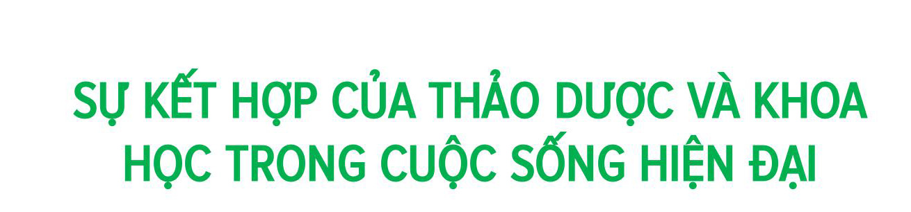 Nâng cao đề kháng trong mùa dịch bằng trà từ dược liệu quý - 10