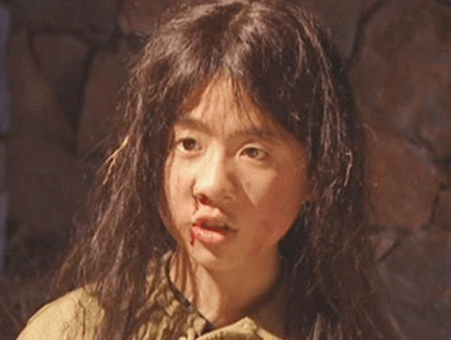 Hồng Thiên Quý Phúc bị quân Thanh bắt và áp giải đến Giang Tây (ảnh minh họa)