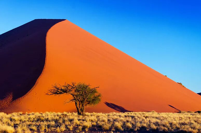 Sossusvlei: Nằm ở phía nam của sa mạc Namib ở Cộng hòa Namibia, Sossusvlei có rất nhiều cồn cát với kích thước đáng kinh ngạc và lộng lẫy như một giấc mơ.
