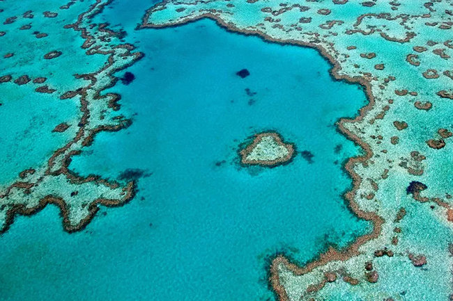 Rạn san hô Great Barrier, Úc: Là cấu trúc sống lớn nhất trên thế giới, Great Barrier Reef bao gồm hơn 2.900 rạn san hô riêng lẻ và 900 hòn đảo. Tại đây có hơn 600 loại san hô nhiều màu sắc cùng với hơn 100 loài sứa, 1.625 loại cá, 133 loại cá mập, cá đuối cùng hơn 30 loài cá voi và cá heo. 
