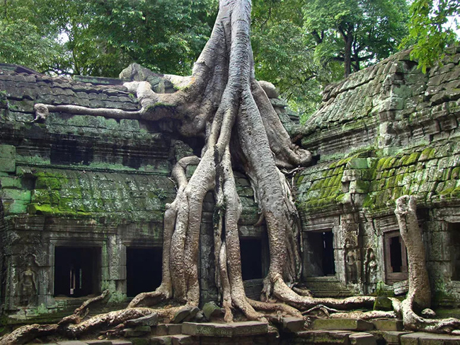 Angkor Wat, Campuchia: Địa điểm tuyệt diệu này có những ngôi đền được trang trí đẹp mắt, công trình thủy lợi và quy hoạch đô thị thể hiện nghệ thuật Khmer ấn tượng từ thế kỷ 9 đến thế kỷ 14. 
