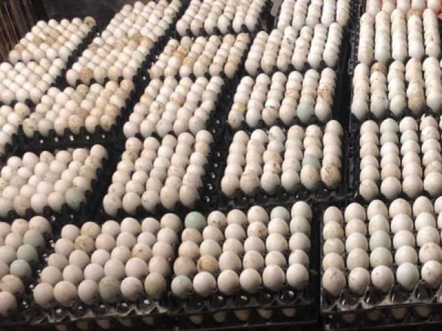 Thị trường - Tiêu dùng - Lí do khiến giá trứng bất ngờ tăng kỉ lục gấp đôi trong một thời gian ngắn