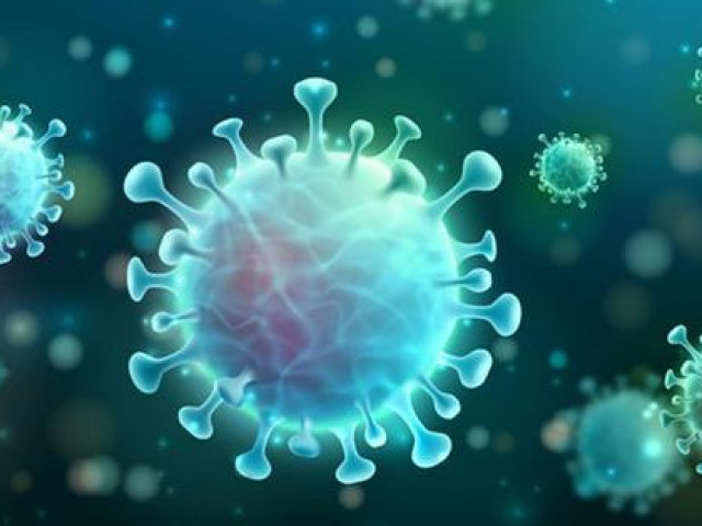 Sức khỏe đời sống - Kháng thể của bệnh nhân sau nhiễm COVID-19 có thể giúp tìm ra vaccine mới