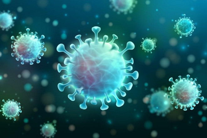 Virus SARS-CoV-2 gây bệnh COVID-19.