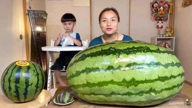 Nữ Youtuber người Việt ở Nhật mua quả dưa hấu &#34;khủng&#34; nặng 56kg, tiết lộ giá gây &#34;sốc&#34; - 1