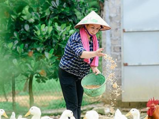 Bạn trẻ - Cuộc sống - Ở nhà mùa dịch, nam sinh chụp bộ ảnh về mẹ khiến dân mạng "tấm tắc' khen