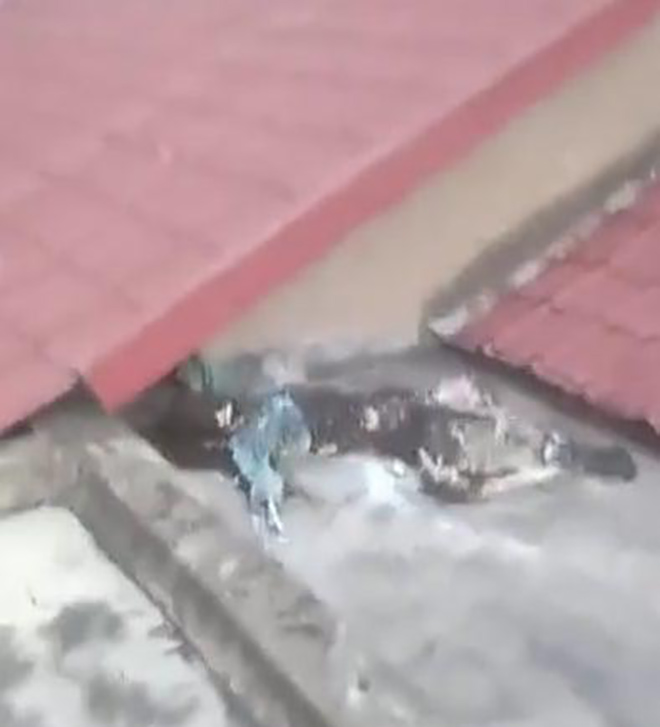 Hiện trường vụ việc