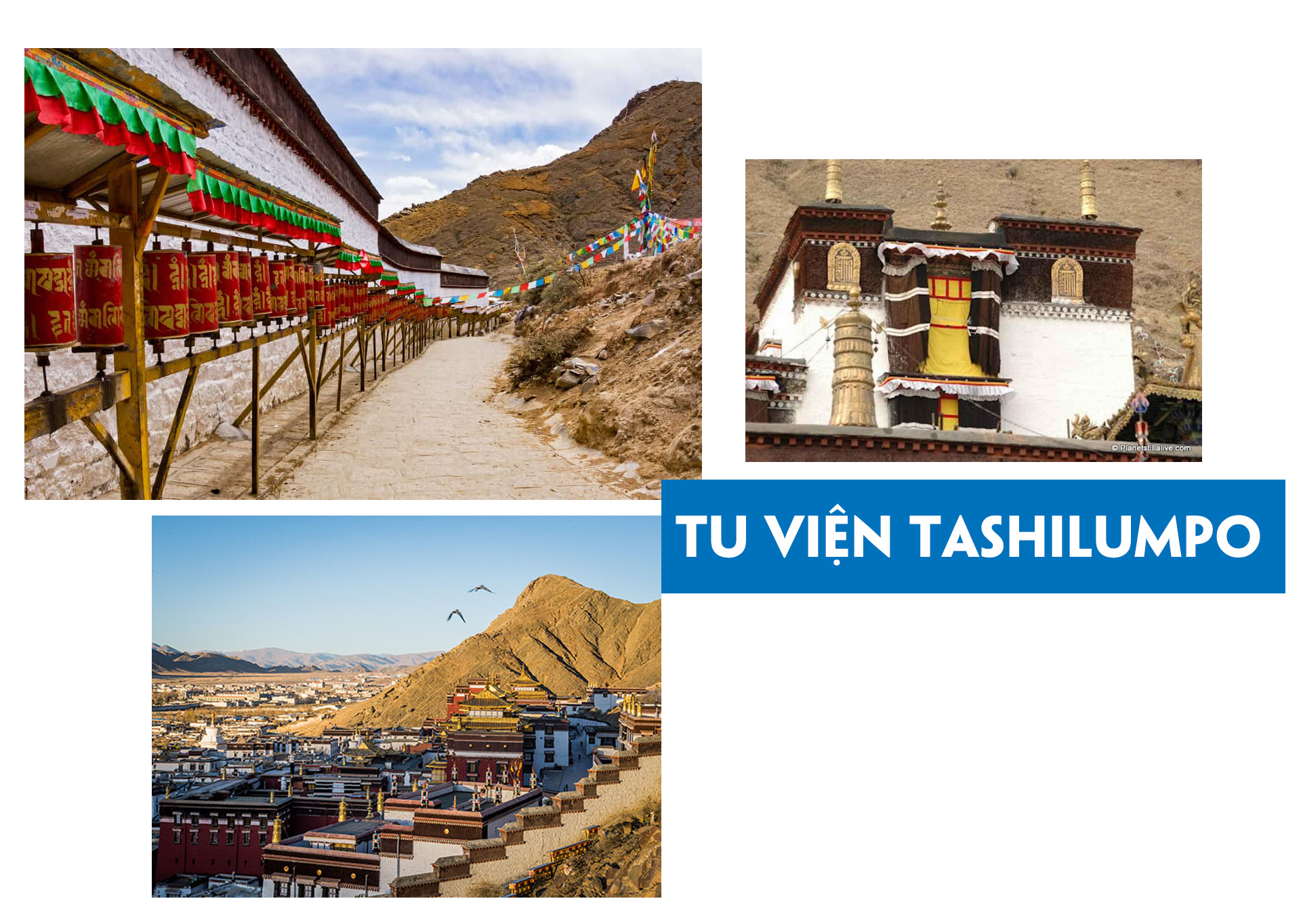 Khám phá một Tây Tạng đầy bí ẩn và quyến rũ - 11