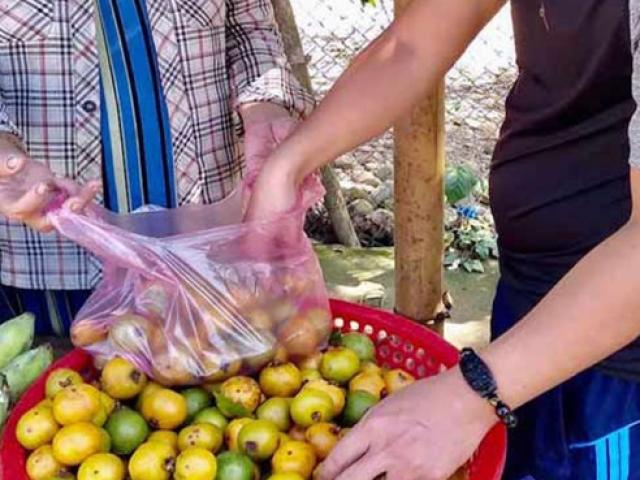 Thị trường - Tiêu dùng - Thứ mọc dại ở Việt Nam nhiều người không biết tên, đi hái về bán kiếm tiền "ngon ơ"